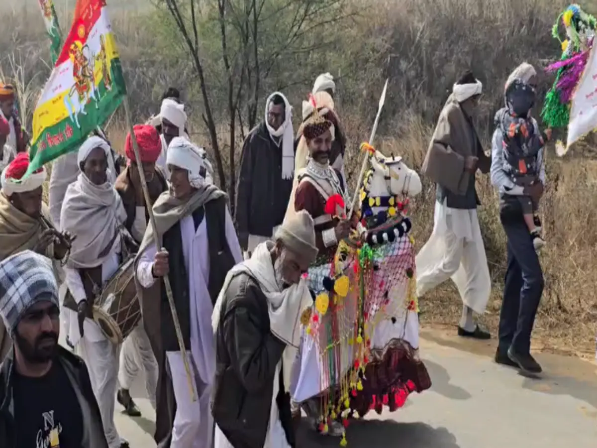 तेजाजी महाराज की 953 वीं जयंती, सीकर में निकाली गई भव्य कलश यात्रा