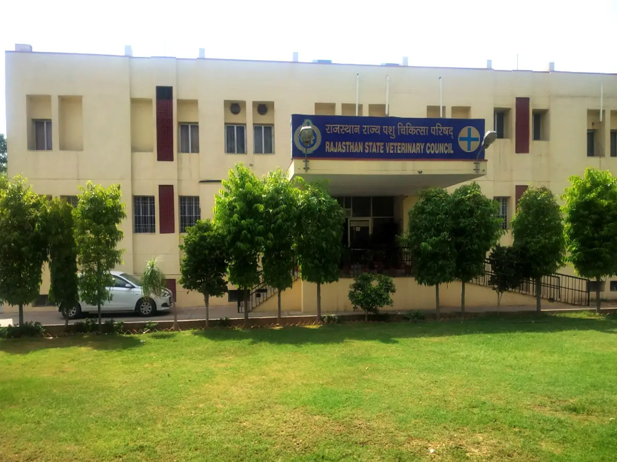 राजस्थान में नए वेटरनरी कॉलेजों की भरमार, वेटरनरी काउंसिल ऑफ इंडिया ने लगाई रोक