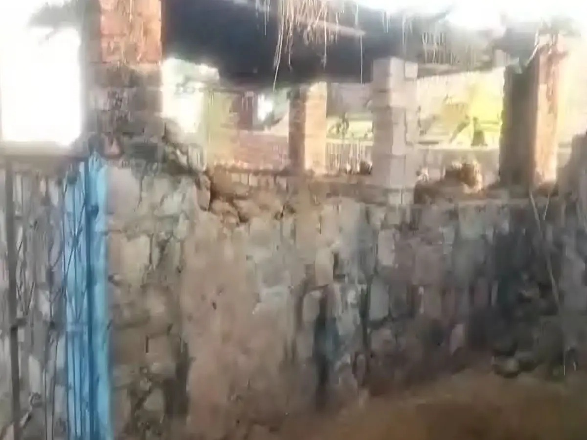 न सोना, न चांदी, इस बार बारां में चोरी हो गए 6 मवेशी, भैंस चोर गिरोह मचा रहा आतंक