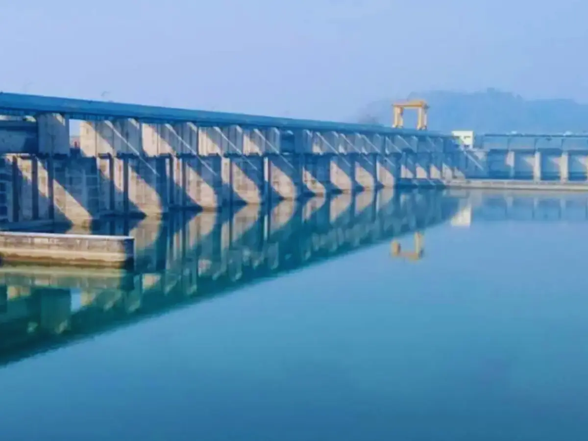 शेखावाटी को मिलेगा यमुना का पानी, CM भजनलाल के बयान पर मंत्री CR पाटिल की मुहर