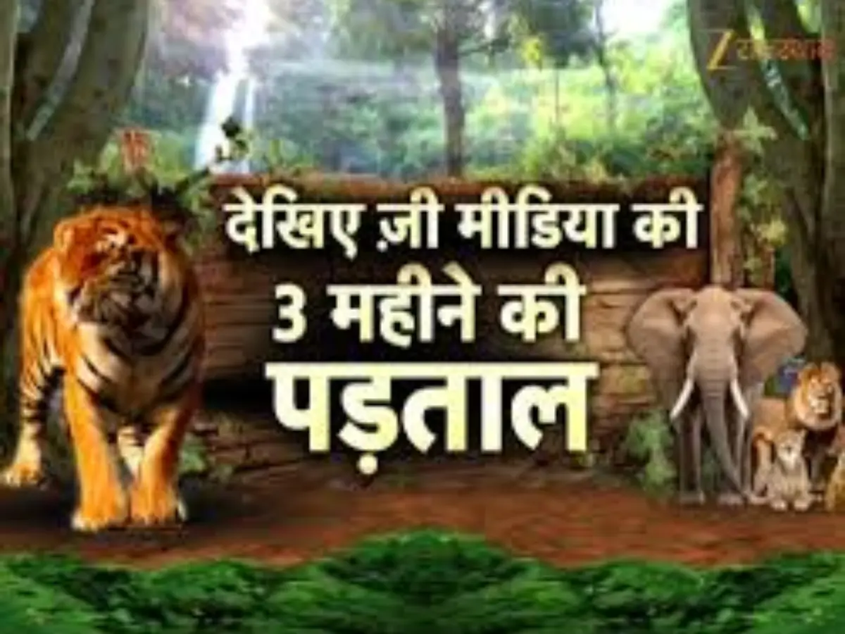 Rajasthan Jungle Super Exclusive: जी मीडिया ने खोल दी जंगल में चल रही दलाली की पोल,  3 महीने की पड़ताल में खुली काले करतूतों की सुतली