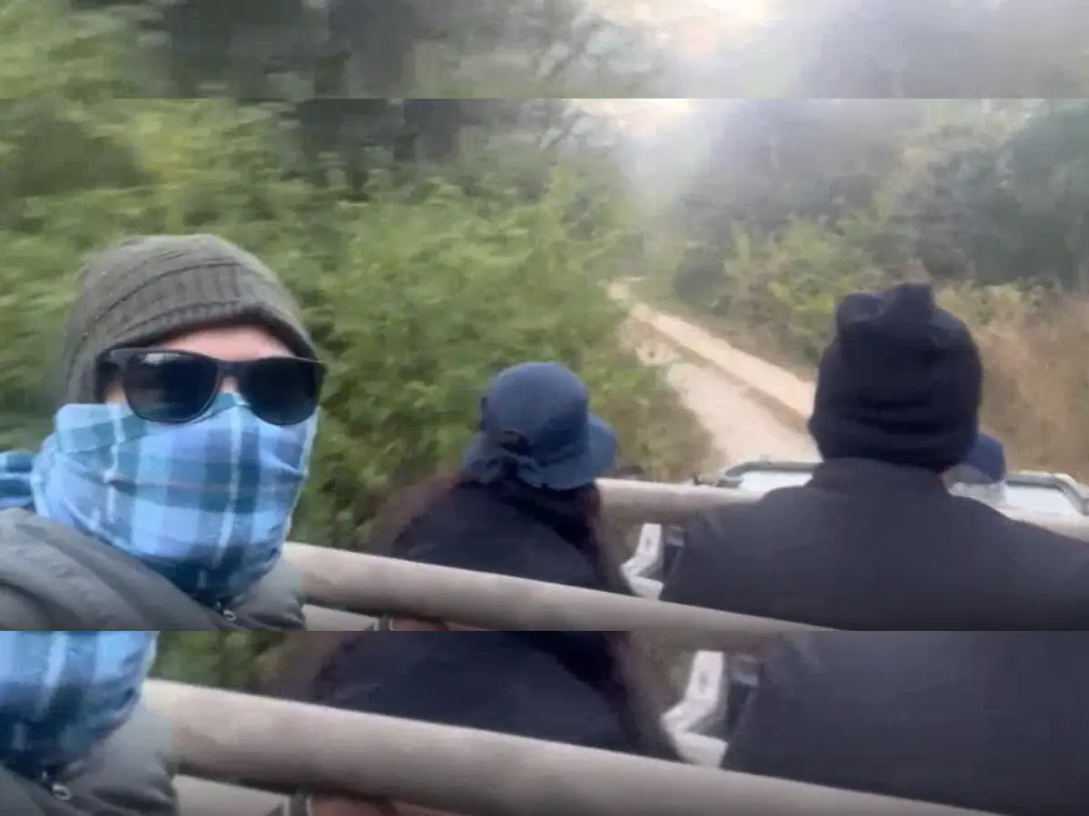 Rajasthan Jungle Super Exclusive: जी मीडिया ने खोल दी जंगल में चल रही दलाली की पोल,  3 महीने की पड़ताल में खुली काले करतूतों की सुतली