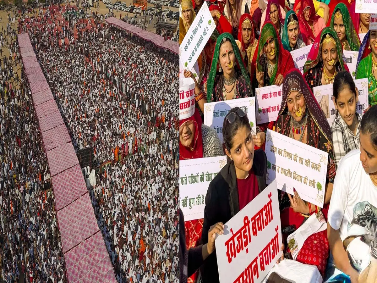 खेजड़ी बचाओ आंदोलन : बीकानेर में फिर हल्ला बोल की तैयारी, इस दिन से 5 लाख लोग अनशन पर !