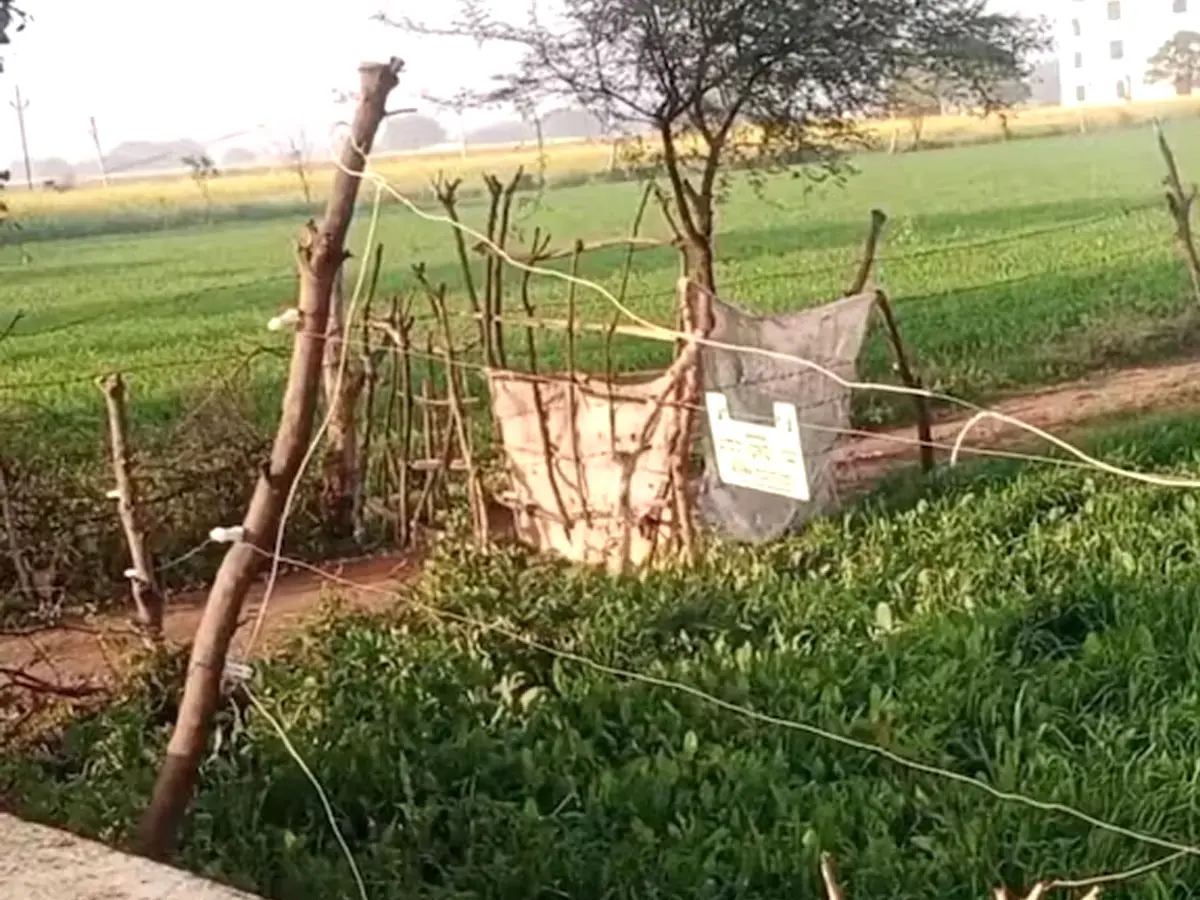 झटका मशीन ने एक झटके में छीन ली किसान की सांसें, तड़पते हुए हुई दर्दनाक मौत