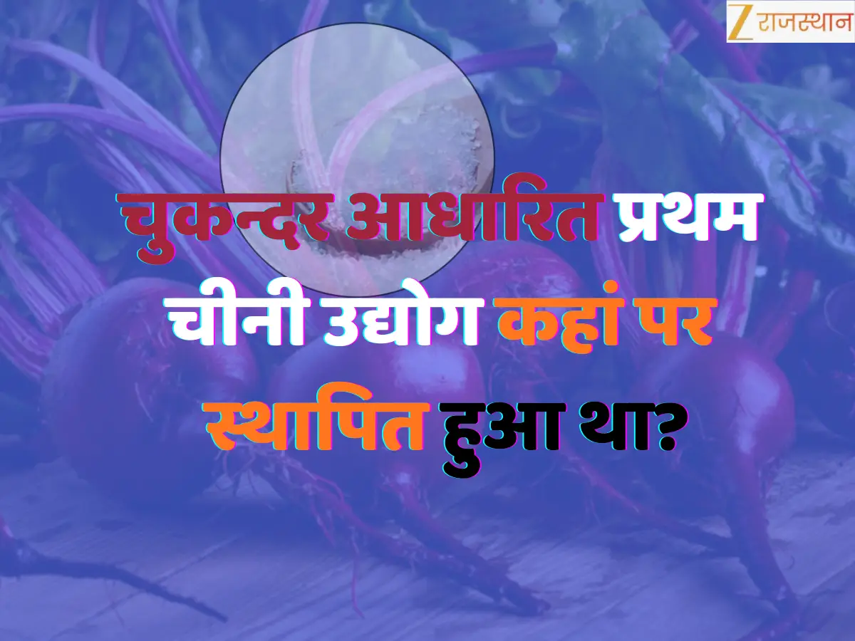 क्या आप जानते हैं चुकन्दर आधारित प्रथम चीनी उद्योग कहां स्थापित हुआ था? जानें राजस्थान से जुड़े 10 अतरंगी सवाल