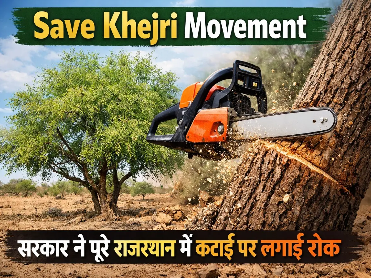 Khejri Big Breaking:  खेजड़ी बचाओ आंदोलन की सफलता, सरकार ने पूरे राजस्थान में कटाई पर लगाई रोक, लिखित आदेश जारी