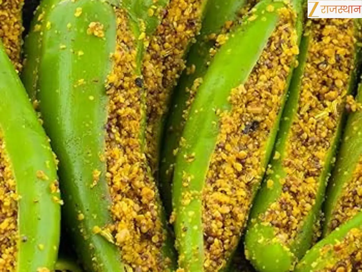 Recipe: एक बार खाएंगे, बार-बार बनाएंगे! चटपटी मारवाड़ी भरवा मिर्च की सीक्रेट रेसिपी