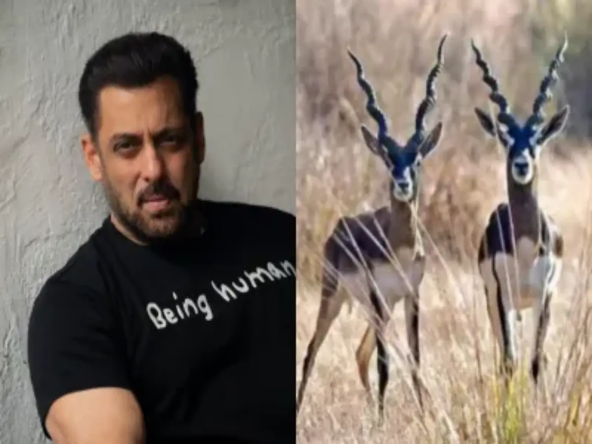 कांकाणी हिरण शिकार केस में बड़ा ट्विस्ट! हाईकोर्ट में सुनवाई से बेंच अलग, फिर अटका मामला