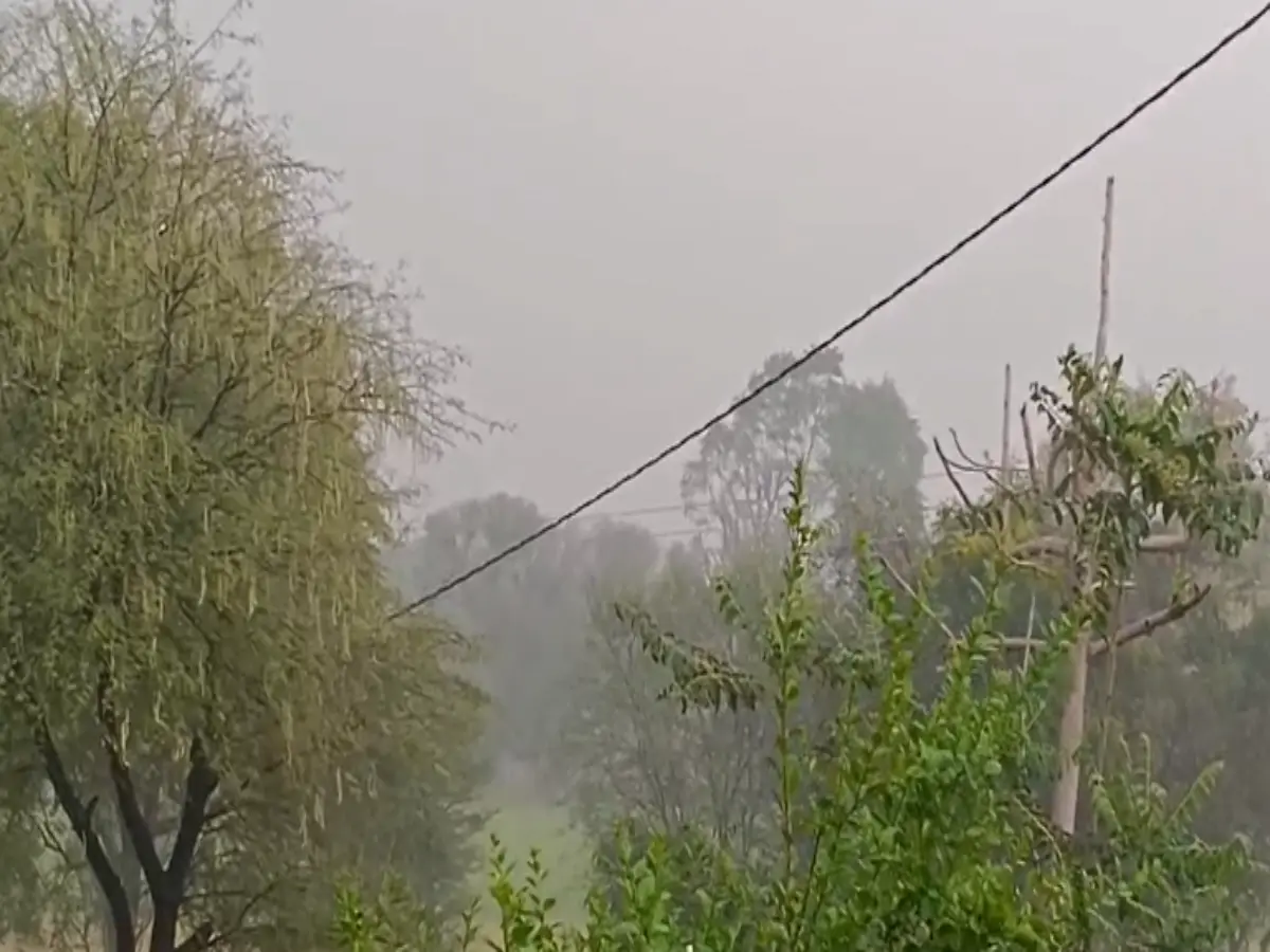 सीकर में बादलों की तेज गर्जना के साथ हुई बारिश,  आगामी कुछ घंटों के लिए अलर्ट जारी