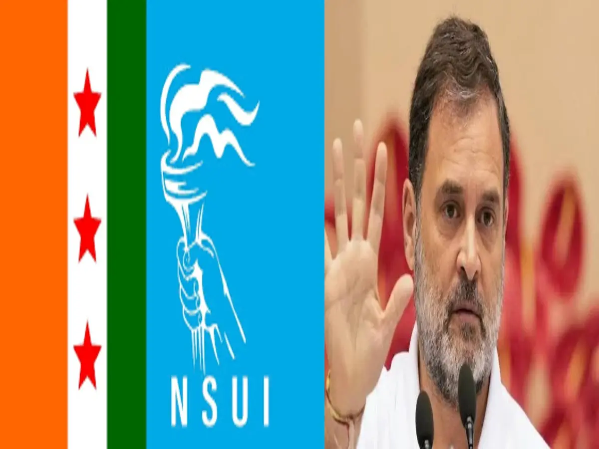 NSUI राष्ट्रीय अध्यक्ष के लिए राहुल गांधी ने 15 दावेदारों से लिया पर्सनल इंटरव्यू, जल्द ही जारी होने जा रहा नाम का एलान