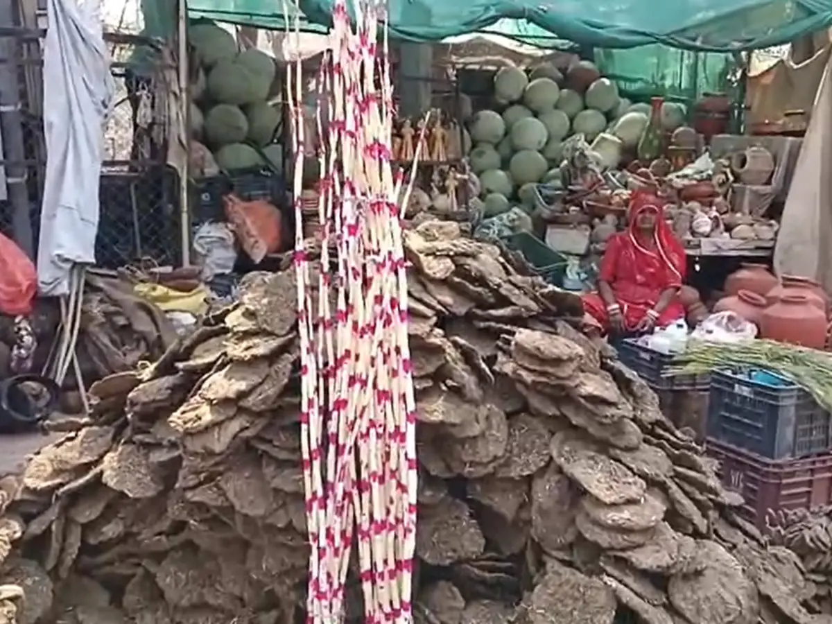 होली के पहले जोधपुर में होलिका दहन को लेकर बड़ा फैसला, 2 मुहूर्त किए गए तय