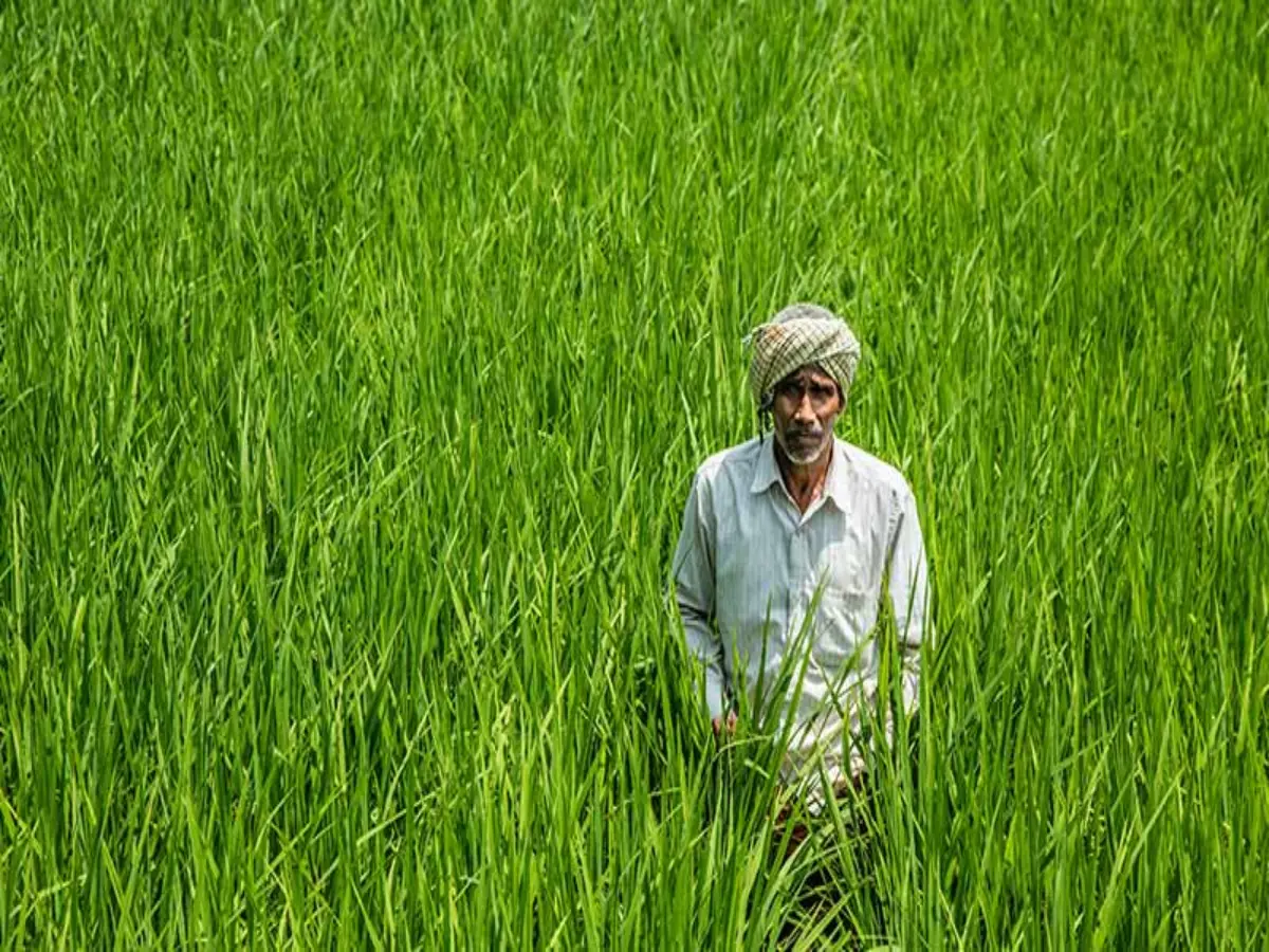 PM Kisan Samman Nidhi