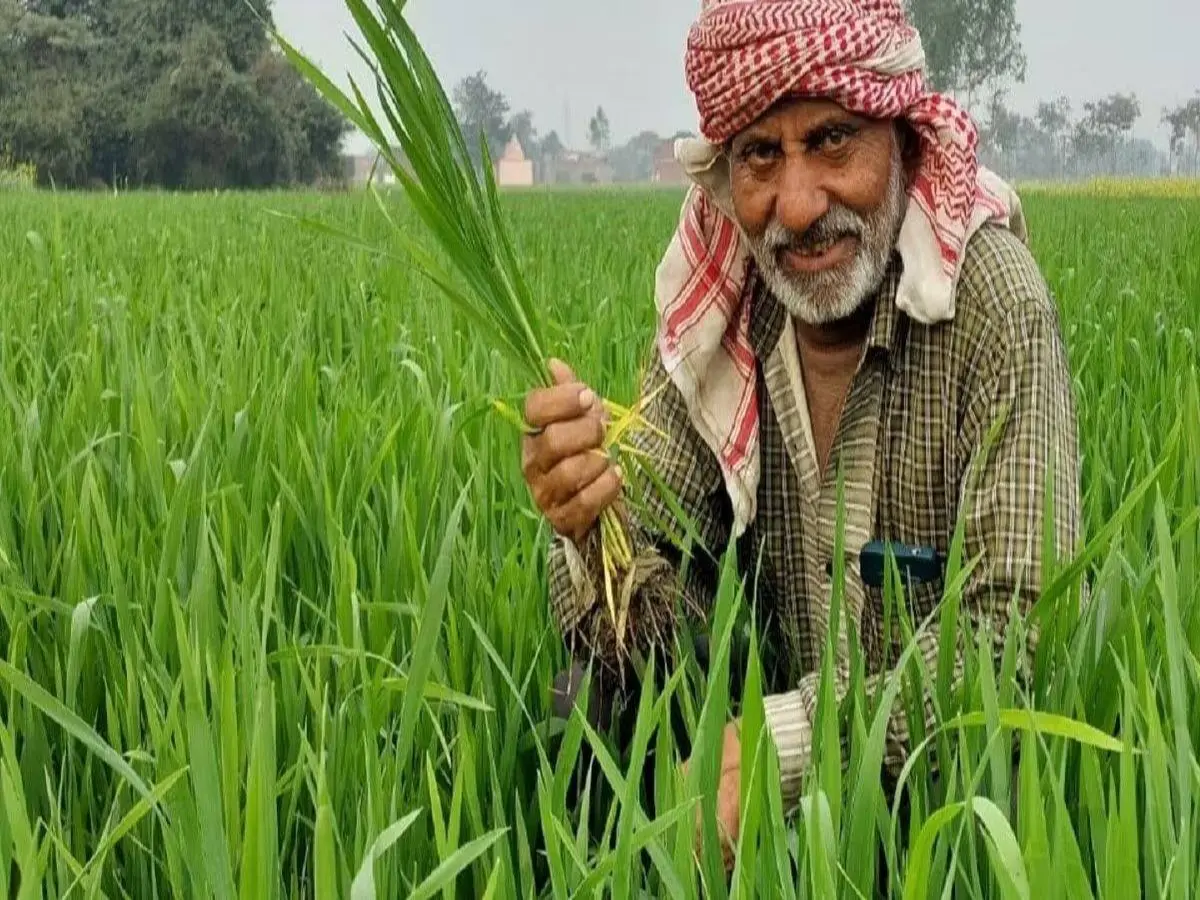 PM Kisan Samman Nidhi