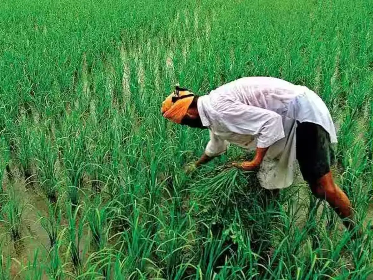 PM Kisan Samman Nidhi