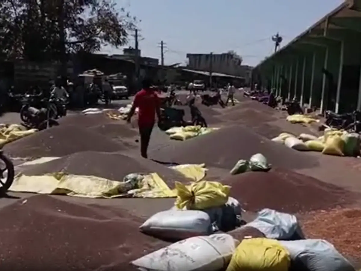 होली अवकाश के बाद खुली प्रतापगढ़ कृषि उपज मंडी, जिंसों की बंपर आवक से लगी वाहनों की लंबी कतार