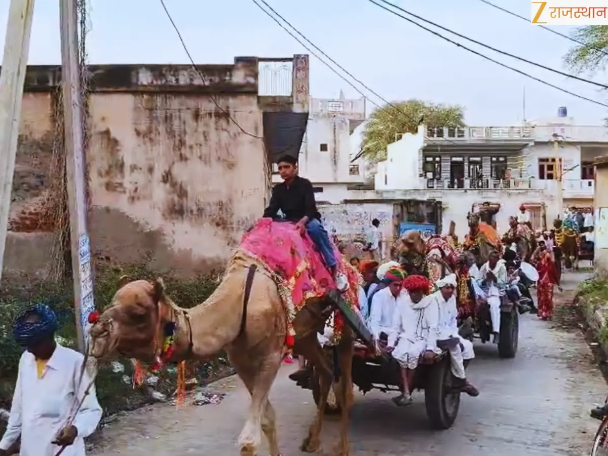 ऑडी-फॉर्च्यूनर छोड़ ऊंट-गाड़ियों पर निकली बारात, राजस्थान में वायरल हुआ अनोखा नजारा