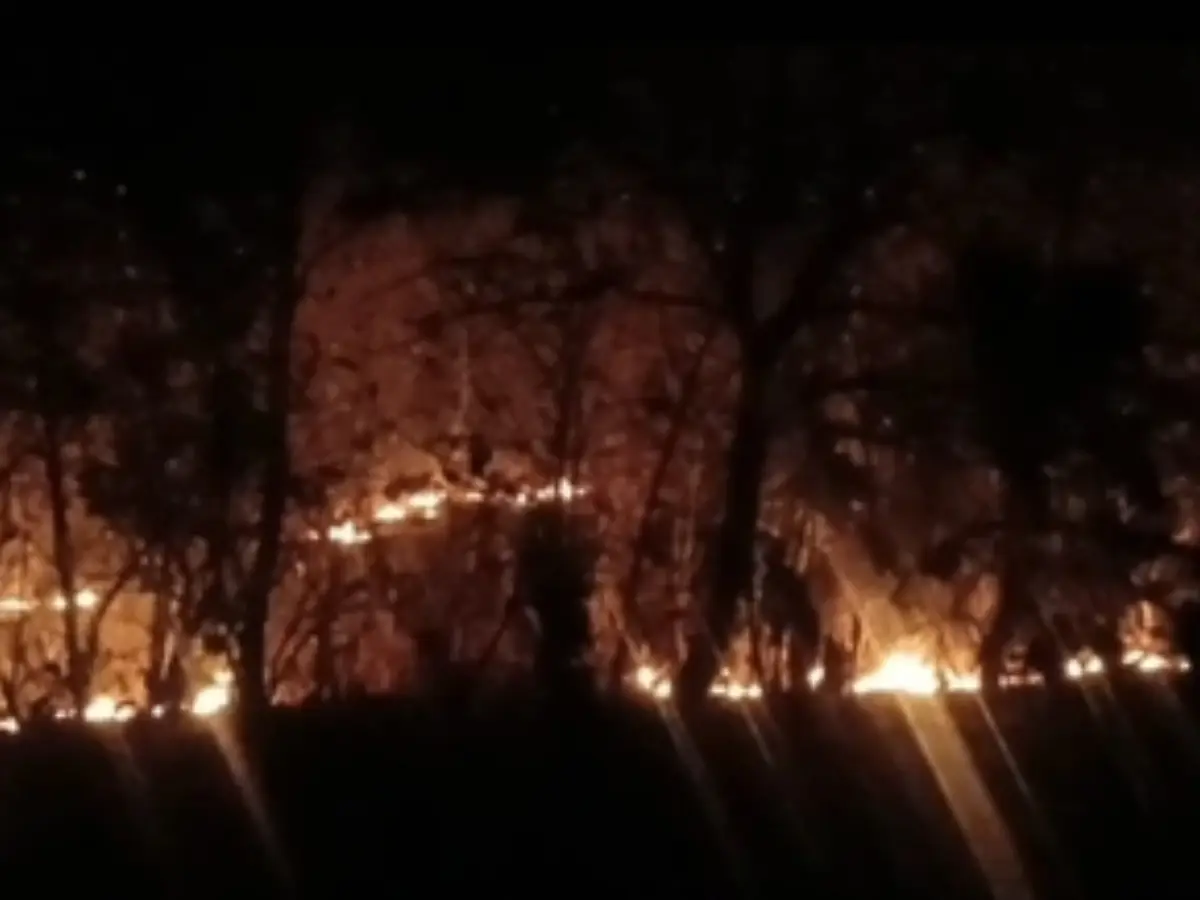 बांसवाड़ा के जंगल में रात लगी भीषण आग, वन विभाग पर लापरवाही के आरोप