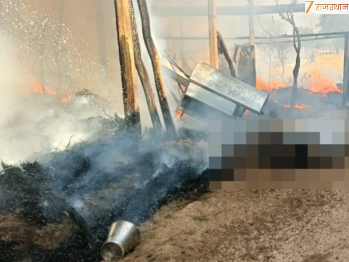 बस्सी के मुंडली गांव में दर्दनाक हादसा, आग में 10 बकरियां जिंदा जलीं