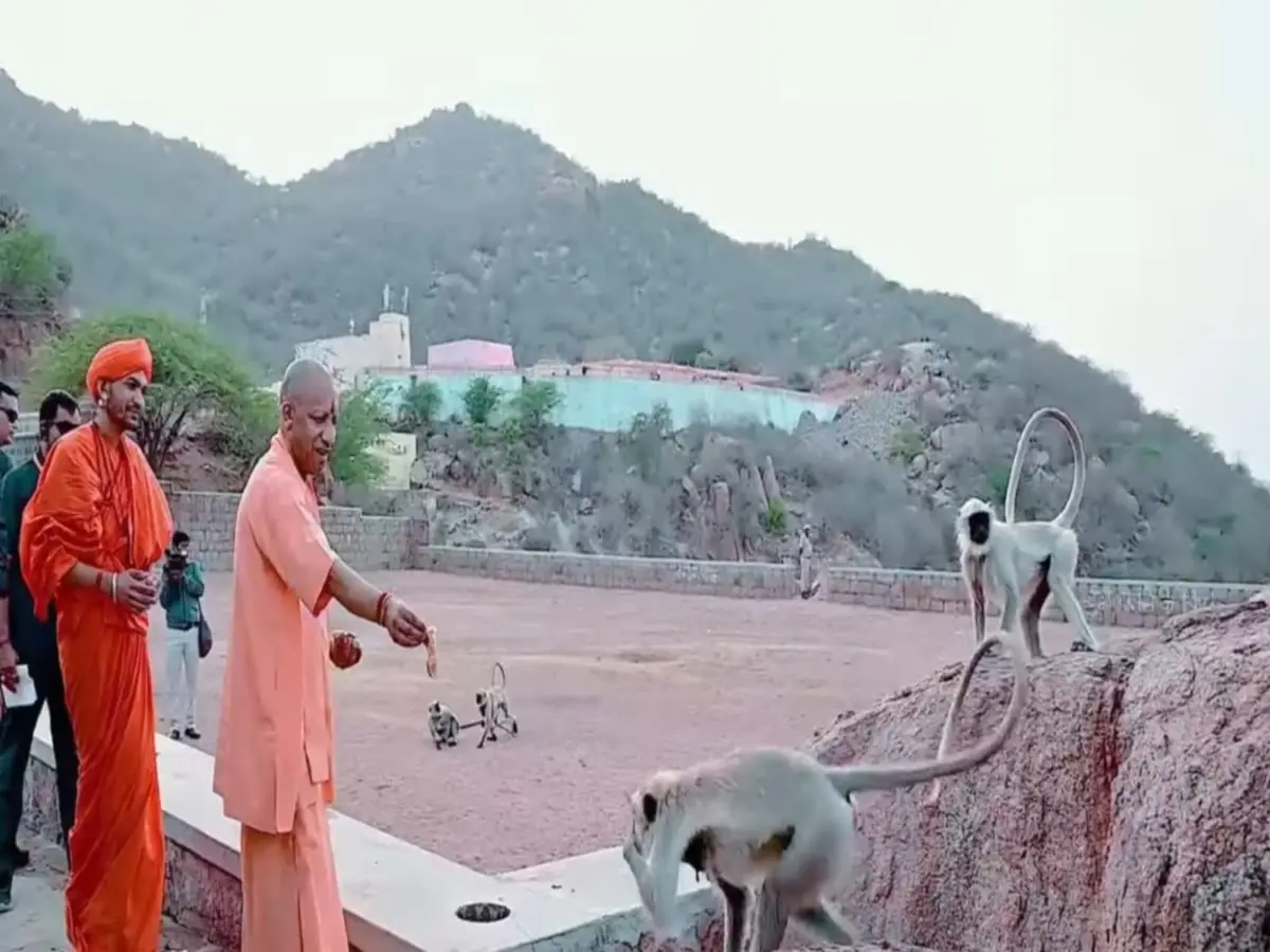 Jalore: रत्नेश्वर महादेव मंदिर पहुंचे यूपी CM योगी आदित्यनाथ, बंदरों के चौराहे पर इन्हें खिलाई रोटी, देखें तस्वीरें