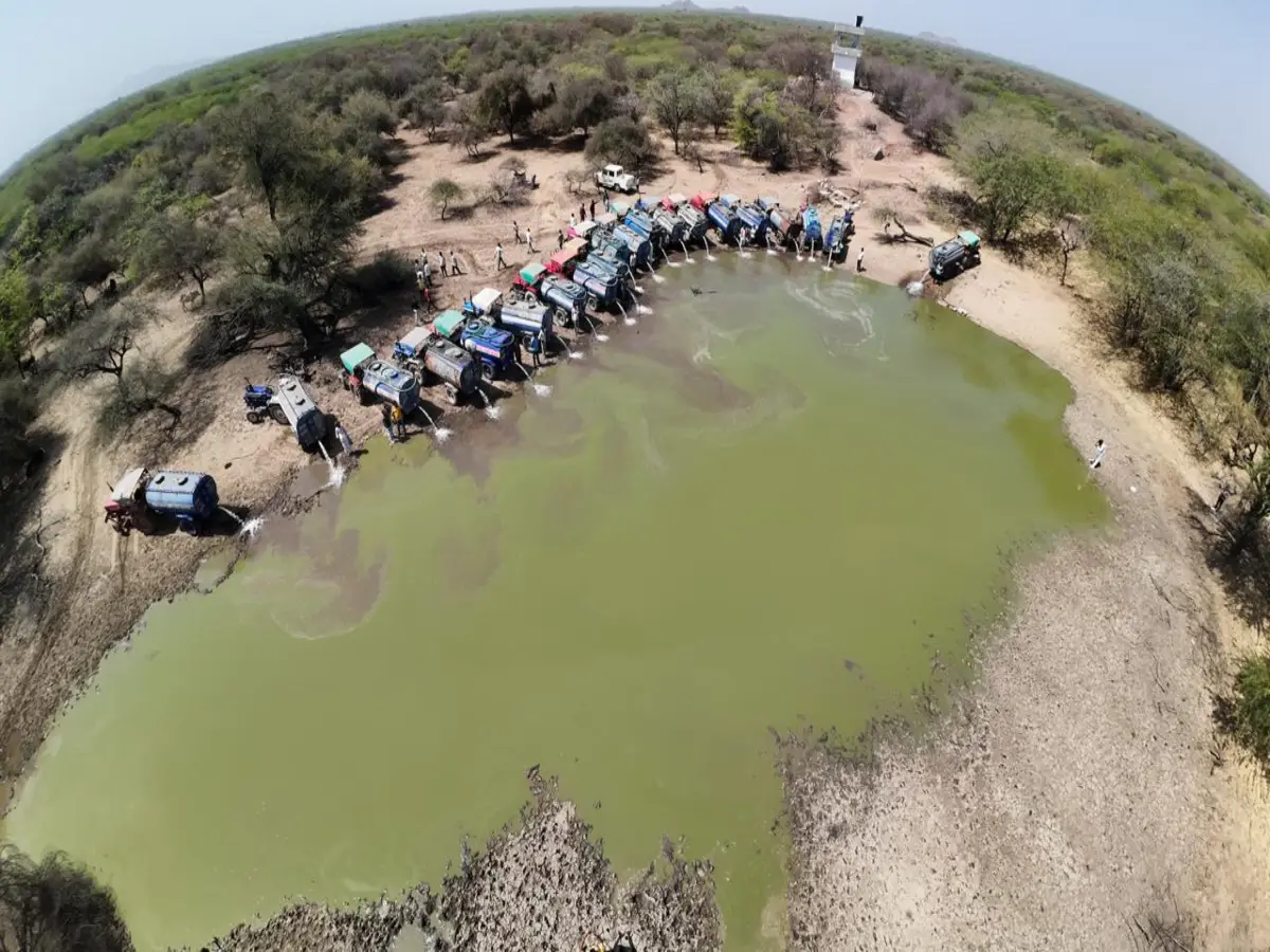 सिरोही में 'पहल ग्रुप' की अनोखी पहल, वन्यजीवों के लिए जोड़ की नाड़ी में 26 टैंकरों से डलवाया पानी