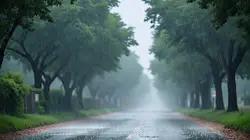 जबरदस्त बारिश से भीगेगा दौसा... अलवर-भरतपुर समेत इन शहरों के लिए तो ऑरेंज अलर्ट जारी
