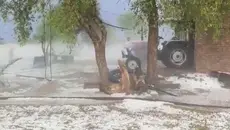 ये AI नहीं हकीकत है... जमीन पर बिछी बर्फ की चादर, देखें भूरे राजस्थान से सफेद तस्वीरें