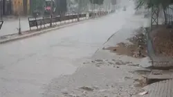 नावा में बारिश का कहर, खेत बने तालाब, फसलें चौपट, किसानों की टूटी कमर!
