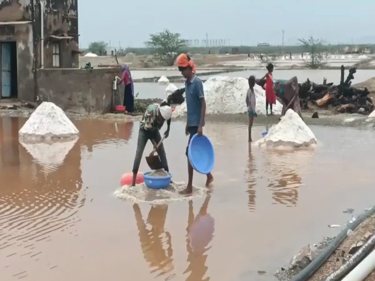 Deedwana Weather: बारिश की वजह से हुआ करोड़ों का नुकसान, नावां में नमक उत्पादन का व्यापार ठप