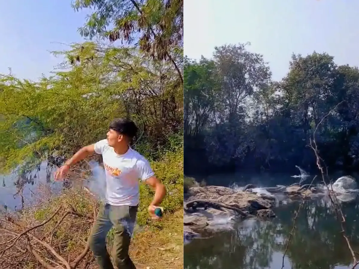 कोटा में मगरमच्छों पर सुतली बम फेंकने का वीडियो वायरल, वन विभाग ने शुरू की कार्रवाई