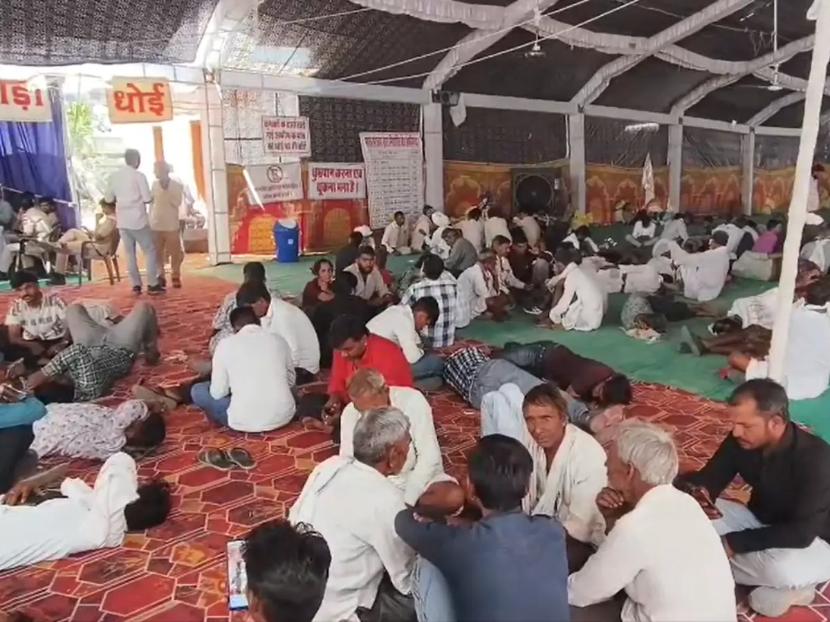 Rajasthan News: चित्तौड़गढ़ में अफीम तौल जोरों पर, गम और CPS पद्धति से हो रही ‘काले सोने’ की परख