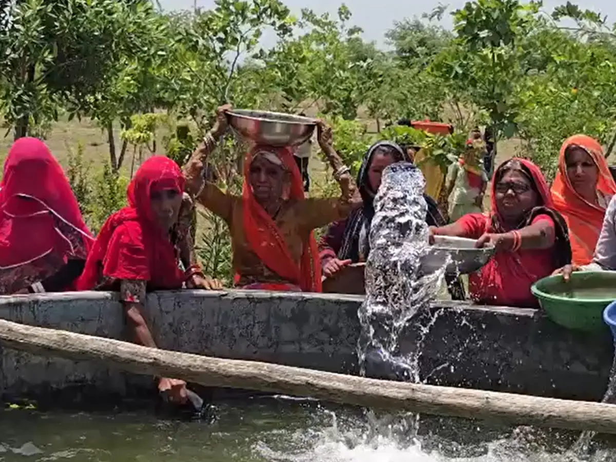 Rajasthan News: राजसमंद की 213 पंचायतें बनेंगी ग्रीन हब, मनरेगा से मिलेगा लोगों को रोजगार