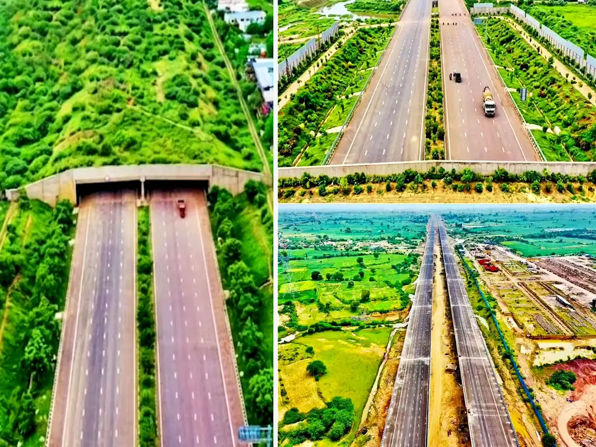दिल्ली देहरादून एक्सप्रेसवे से इतर राजस्थान का वो एक्सप्रेसवे, जिसके ऊपर है हरा-भरा जगंल