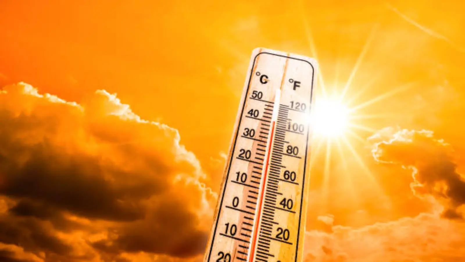 Rajasthan Weather Today Maximum Temperature