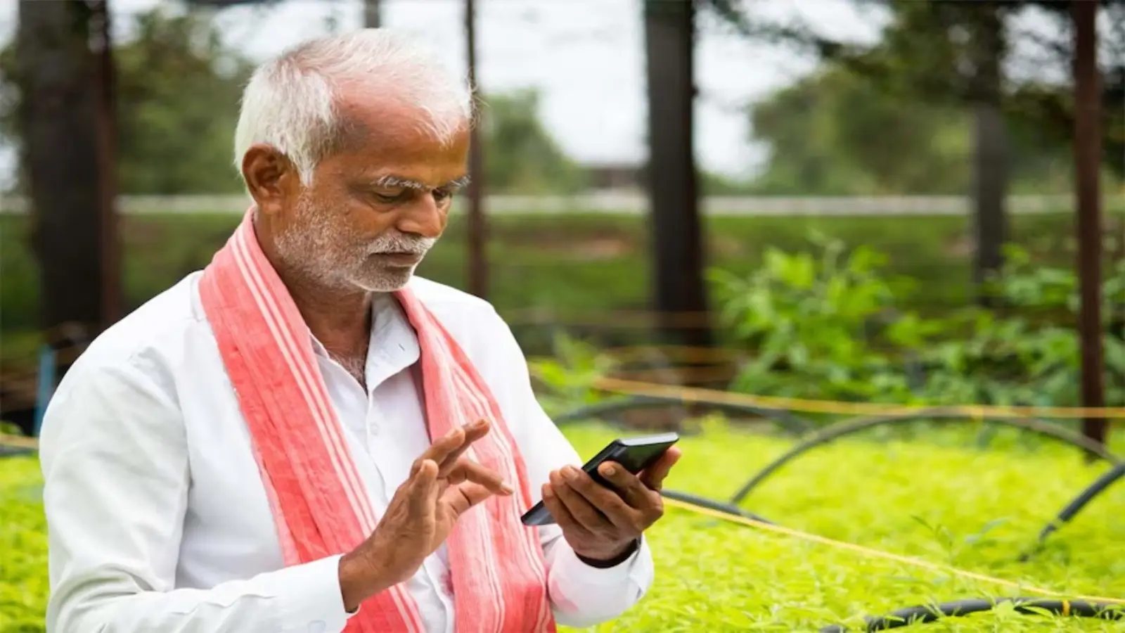 CM Kisan Samman Nidhi