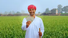Good News: राजस्थान के किसानों के लिए बड़ी सौगात, गेहूं बोनस से लेकर दूध पर अनुदान तक CM का ऐलान