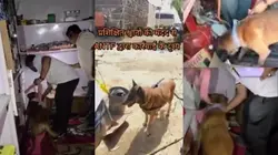 नाकाम हो रही तस्करों की हर चाल, ANTF के ‘सूंघने वाले सिपाही’ बन रहे नशे के दुश्मन