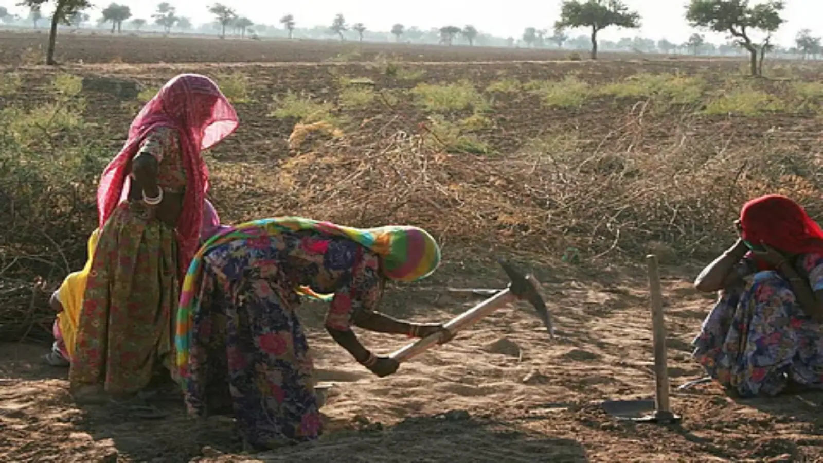 Rajasthan Weather Update