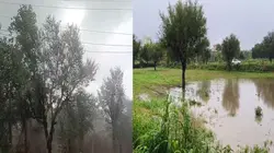 सीकर और डूंगरपुर में झमाझम बारिश, कई इलाकों में जलभराव और फसलों को हुआ नुकसान