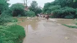 Dholpur News: सावन में मेहरबान हुआ मानसून, 12 घंटे में ढाई इंच बारिश