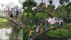 पानी से भरा रास्ता पार करने के लिए पेड़ के तने पर चले बच्चे, जान जोखिम में डालकर स्कूल पहुंच रहे नौनिहाल